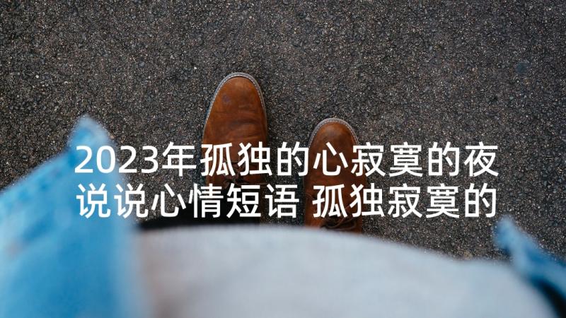 2023年孤独的心寂寞的夜说说心情短语 孤独寂寞的句子(模板8篇)