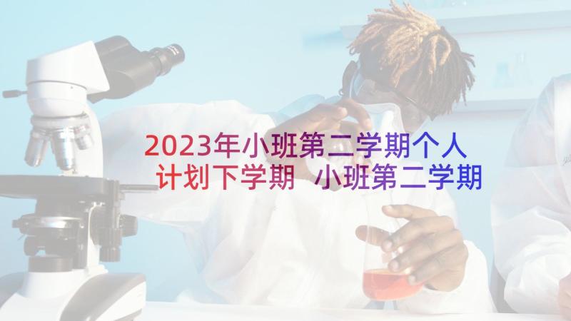 2023年小班第二学期个人计划下学期 小班第二学期班级计划(模板8篇)