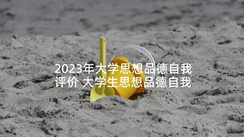 2023年大学思想品德自我评价 大学生思想品德自我评价(大全8篇)