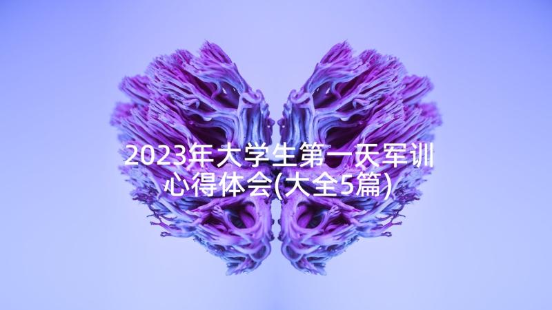 2023年大学生第一天军训心得体会(大全5篇)