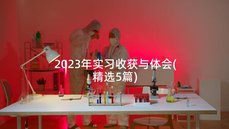 2023年实习收获与体会(精选5篇)