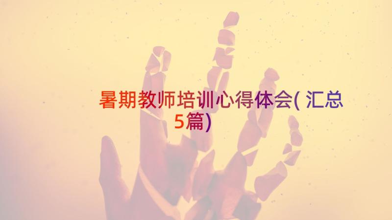 暑期教师培训心得体会(汇总5篇)