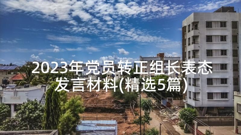 2023年党员转正组长表态发言材料(精选5篇)