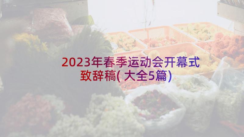 2023年春季运动会开幕式致辞稿(大全5篇)