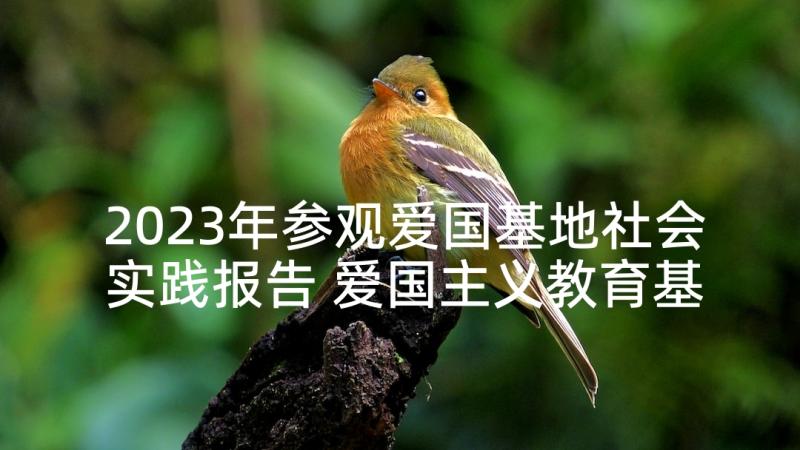 2023年参观爱国基地社会实践报告 爱国主义教育基地参观心得体会(汇总5篇)