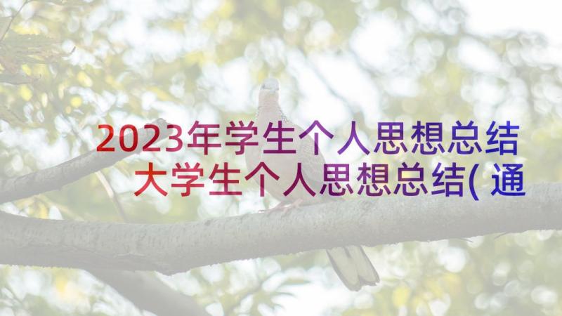 2023年学生个人思想总结 大学生个人思想总结(通用6篇)