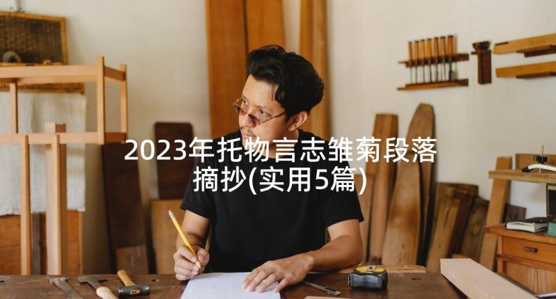 2023年托物言志雏菊段落摘抄(实用5篇)