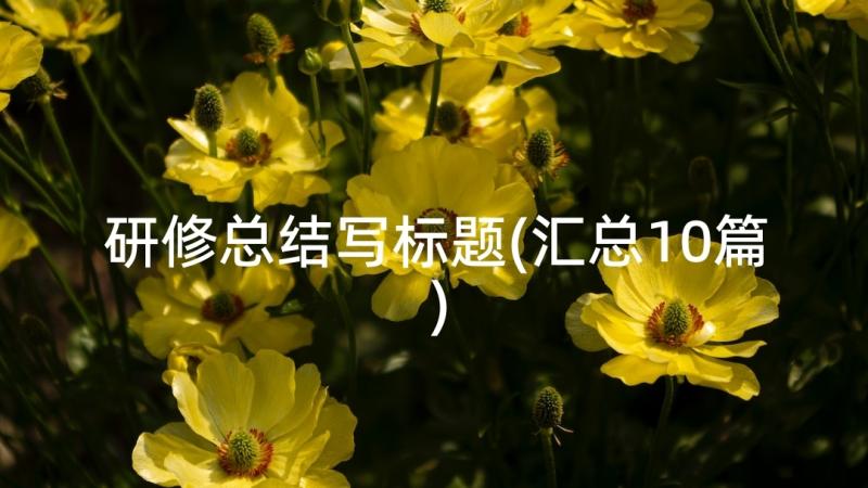 研修总结写标题(汇总10篇)