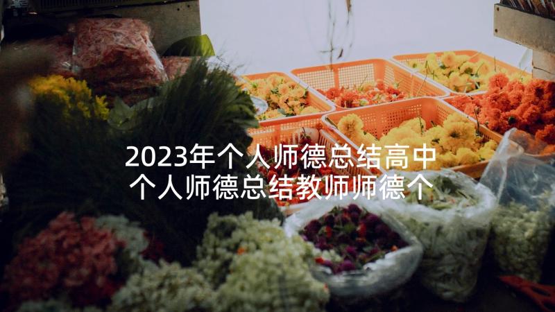 2023年个人师德总结高中 个人师德总结教师师德个人总结(大全8篇)