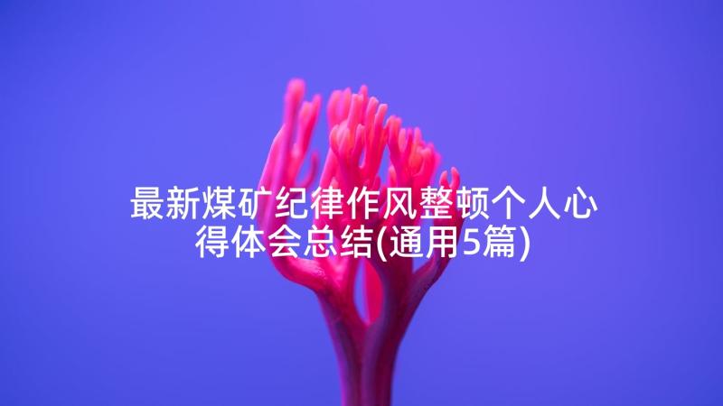 最新煤矿纪律作风整顿个人心得体会总结(通用5篇)