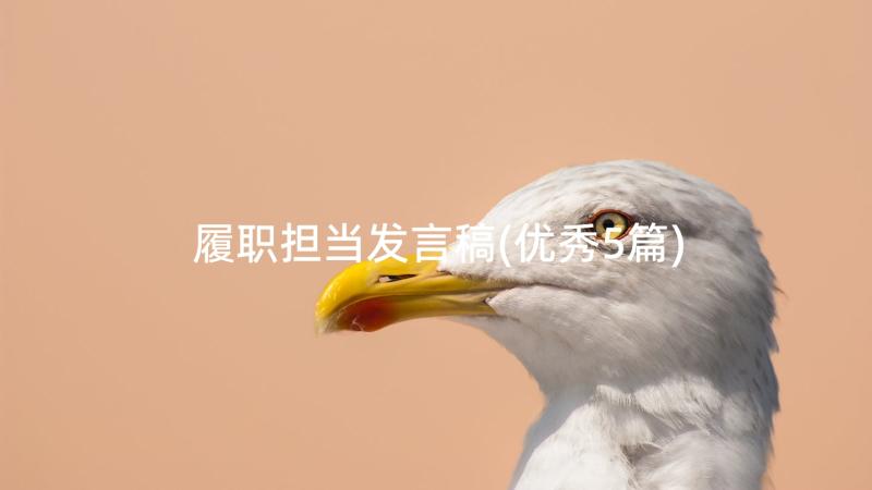 履职担当发言稿(优秀5篇)