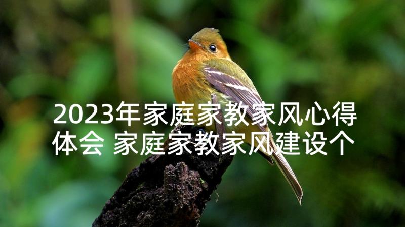 2023年家庭家教家风心得体会 家庭家教家风建设个人学习心得(精选5篇)