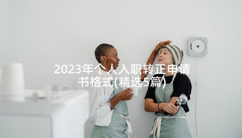 2023年个人入职转正申请书格式(精选5篇)