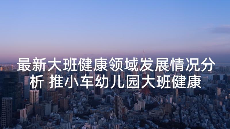 最新大班健康领域发展情况分析 推小车幼儿园大班健康领域教案设计(精选5篇)