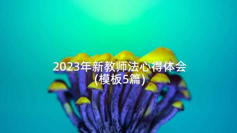 2023年新教师法心得体会(模板5篇)