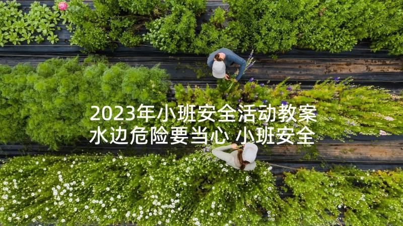 2023年小班安全活动教案水边危险要当心 小班安全教案(大全9篇)