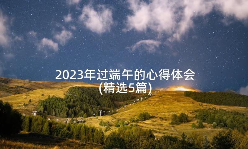 2023年过端午的心得体会(精选5篇)