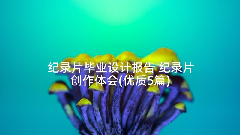 纪录片毕业设计报告 纪录片创作体会(优质5篇)