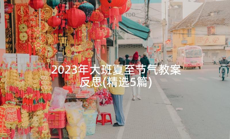 2023年大班夏至节气教案反思(精选5篇)