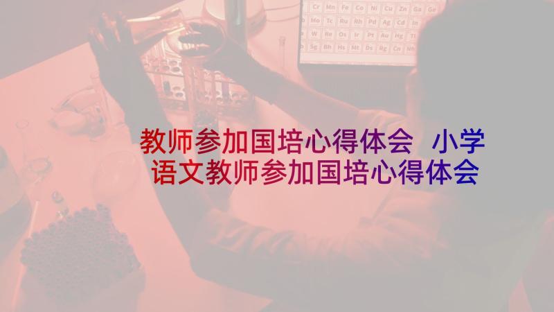 教师参加国培心得体会 小学语文教师参加国培心得体会(精选5篇)