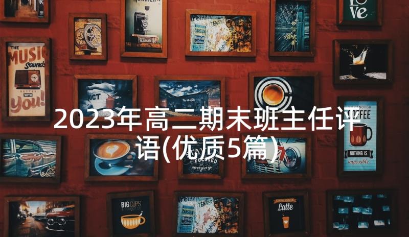 2023年高二期末班主任评语(优质5篇)