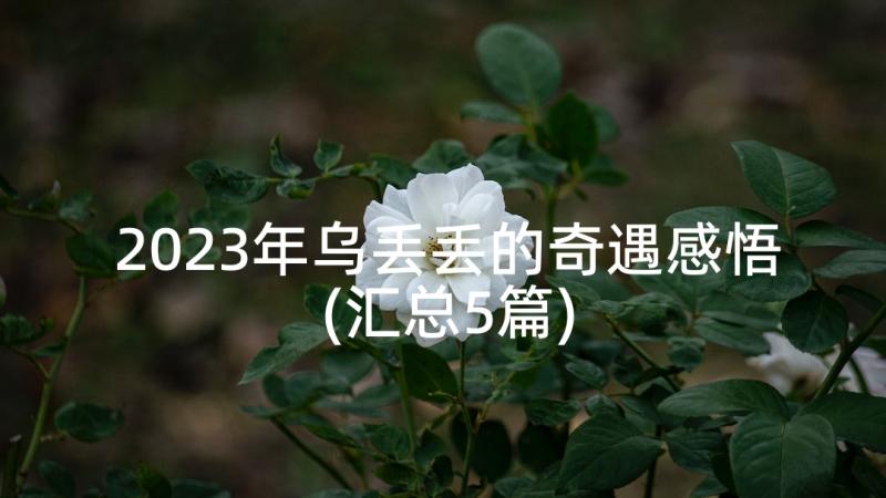 2023年乌丢丢的奇遇感悟(汇总5篇)