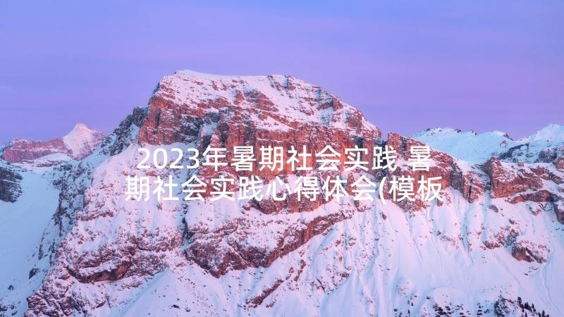 2023年暑期社会实践 暑期社会实践心得体会(模板5篇)