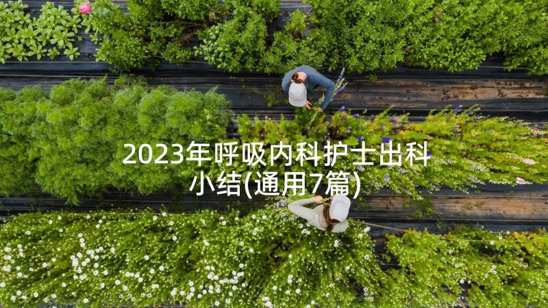 2023年呼吸内科护士出科小结(通用7篇)