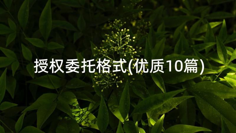 授权委托格式(优质10篇)