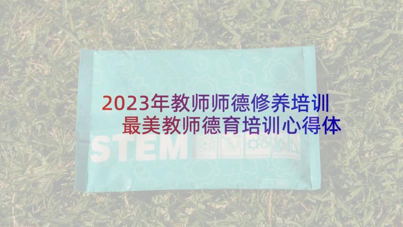 2023年教师师德修养培训 最美教师德育培训心得体会(汇总10篇)