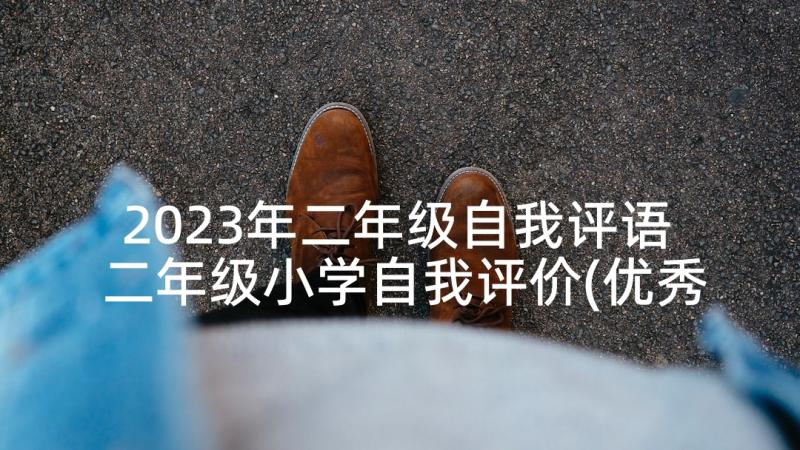 2023年二年级自我评语 二年级小学自我评价(优秀6篇)