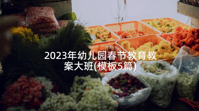 2023年幼儿园春节教育教案大班(模板5篇)