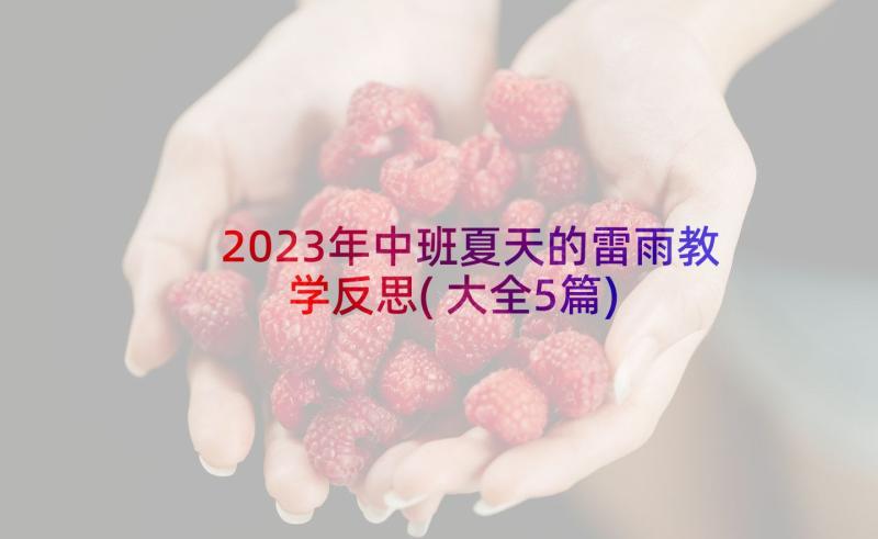 2023年中班夏天的雷雨教学反思(大全5篇)