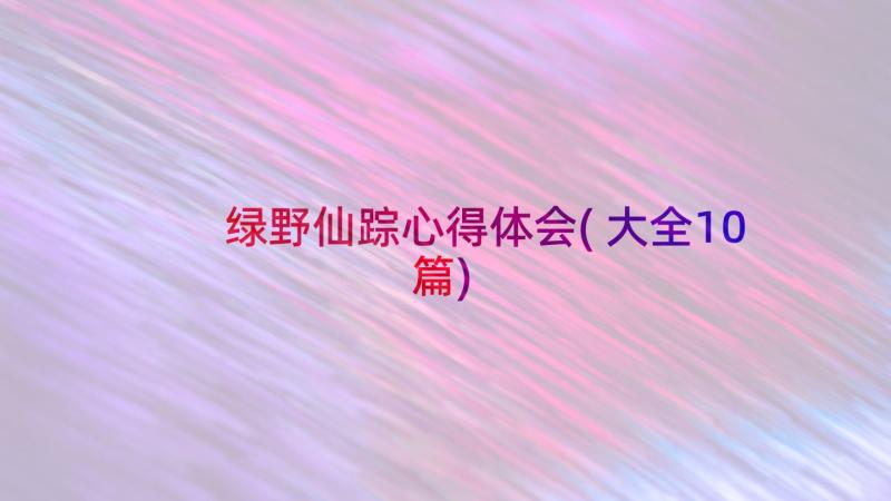 绿野仙踪心得体会(大全10篇)