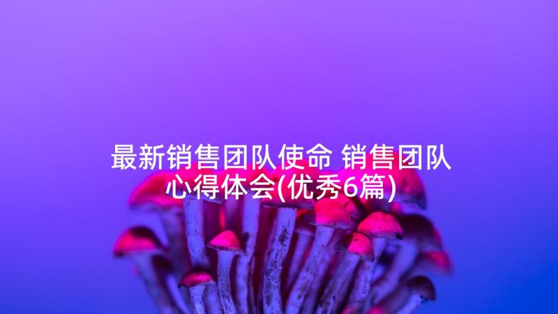 最新销售团队使命 销售团队心得体会(优秀6篇)