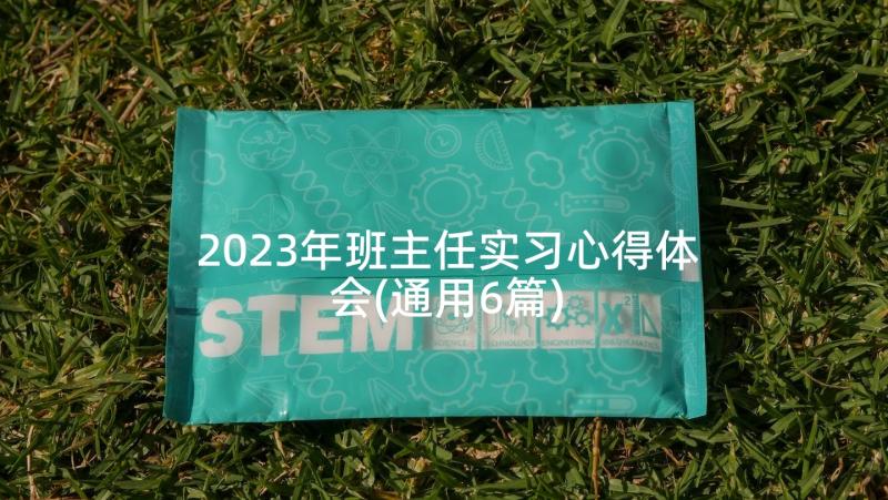 2023年班主任实习心得体会(通用6篇)