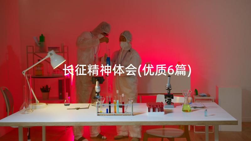 长征精神体会(优质6篇)