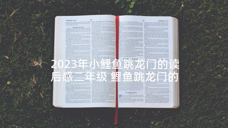 2023年小鲤鱼跳龙门的读后感二年级 鲤鱼跳龙门的读后感(汇总5篇)