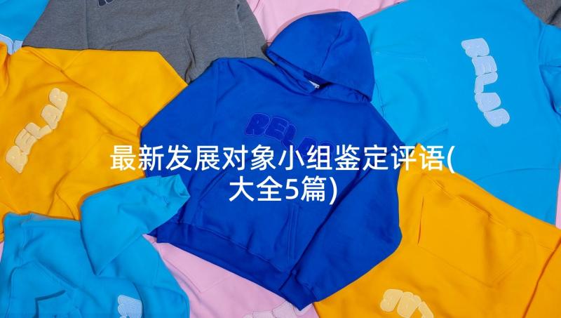 最新发展对象小组鉴定评语(大全5篇)