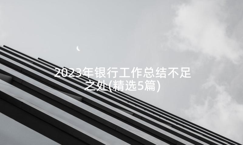 2023年银行工作总结不足之处(精选5篇)