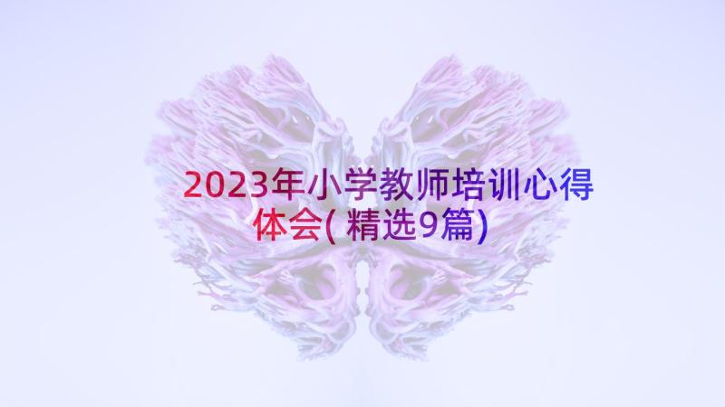 2023年小学教师培训心得体会(精选9篇)
