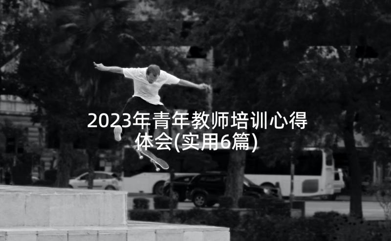 2023年青年教师培训心得体会(实用6篇)