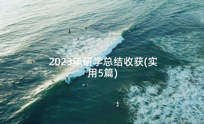 2023年研学总结收获(实用5篇)