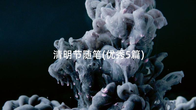 清明节随笔(优秀5篇)