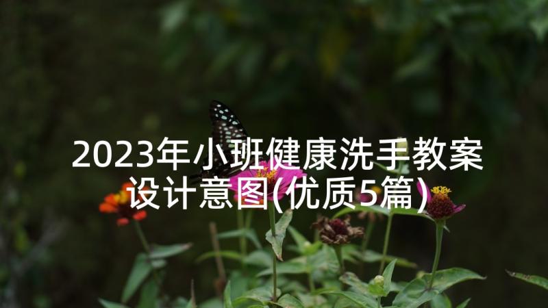 2023年小班健康洗手教案设计意图(优质5篇)