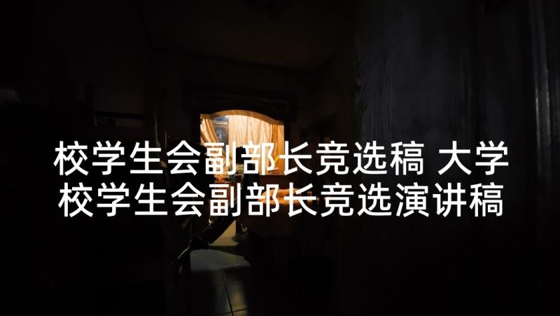 校学生会副部长竞选稿 大学校学生会副部长竞选演讲稿(实用5篇)