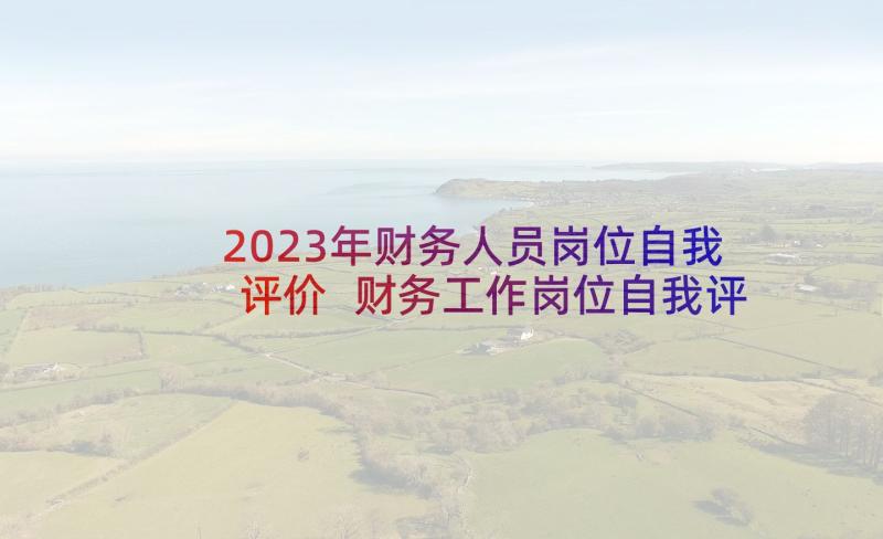 2023年财务人员岗位自我评价 财务工作岗位自我评价(大全8篇)