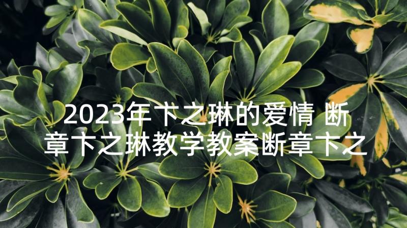 2023年卞之琳的爱情 断章卞之琳教学教案断章卞之琳诗歌鉴赏(汇总5篇)