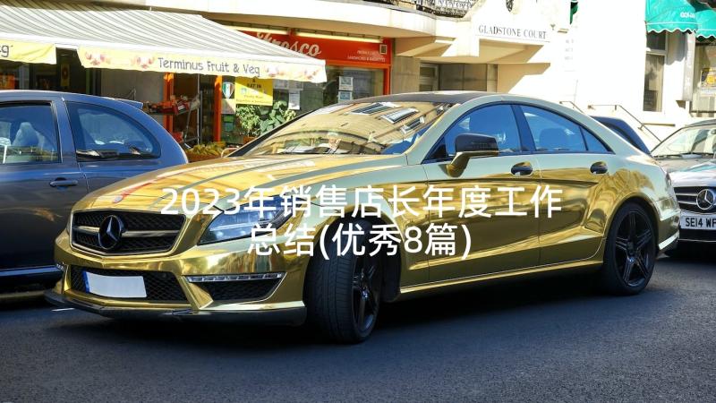 2023年销售店长年度工作总结(优秀8篇)