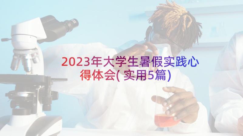 2023年大学生暑假实践心得体会(实用5篇)